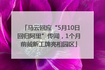 马云回应“5月10日回归阿里”传闻，1个月前戴新工牌亮相园区