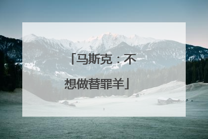 马斯克：不想做替罪羊
