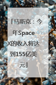马斯克：今年SpaceX的收入将达到155亿美元