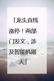 龙头直线涨停！两部门发文，涉及智能机器人