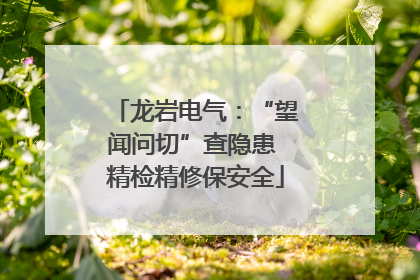 龙岩电气：“望闻问切”查隐患 精检精修保安全