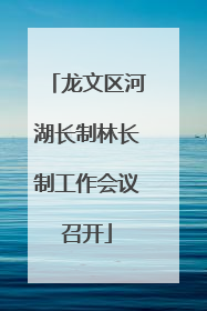 龙文区河湖长制林长制工作会议召开