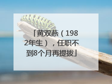 黄双燕（1982年生），任职不到8个月再提拔