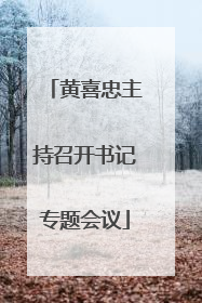 黄喜忠主持召开书记专题会议