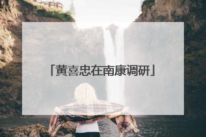 黄喜忠在南康调研