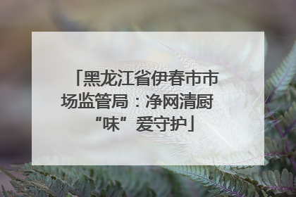 黑龙江省伊春市市场监管局：净网清厨 “味”爱守护