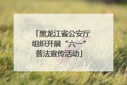 黑龙江省公安厅组织开展“六一”普法宣传活动