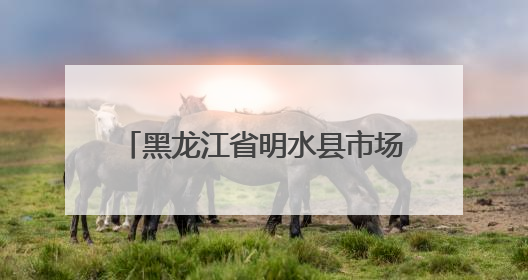 黑龙江省明水县市场监管局加强儿童公园游乐设施安全监管