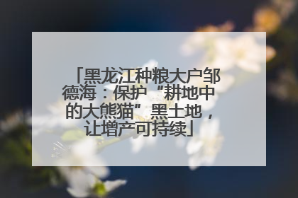 黑龙江种粮大户邹德海：保护“耕地中的大熊猫”黑土地，让增产可持续