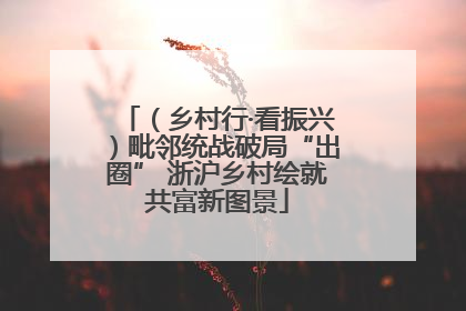 （乡村行·看振兴）毗邻统战破局“出圈” 浙沪乡村绘就共富新图景