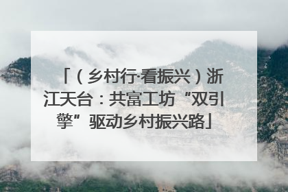 （乡村行·看振兴）浙江天台：共富工坊“双引擎”驱动乡村振兴路