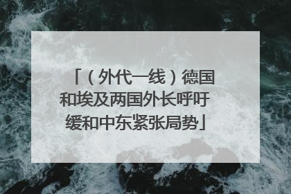 （外代一线）德国和埃及两国外长呼吁缓和中东紧张局势
