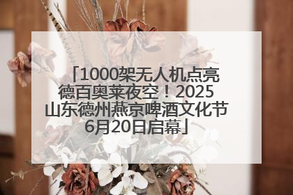 1000架无人机点亮德百奥莱夜空！2025山东德州燕京啤酒文化节6月20日启幕