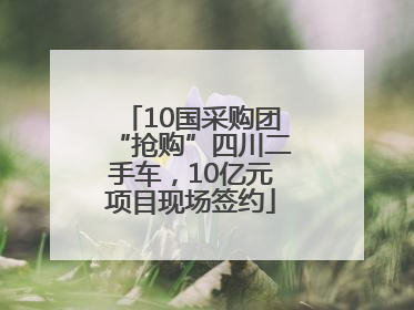 10国采购团“抢购”四川二手车，10亿元项目现场签约