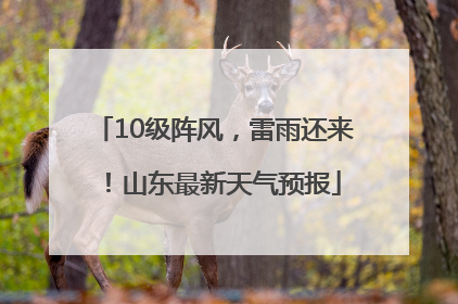 10级阵风，雷雨还来！山东最新天气预报
