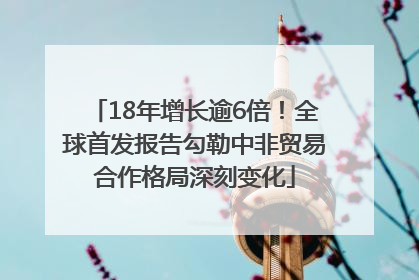 18年增长逾6倍！全球首发报告勾勒中非贸易合作格局深刻变化