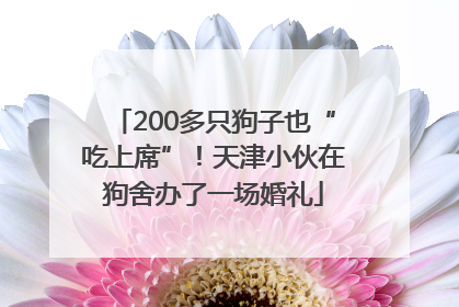 200多只狗子也“吃上席”！天津小伙在狗舍办了一场婚礼