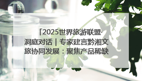 2025世界旅游联盟·洞庭对话｜专家建言黔湘文旅协同发展：聚焦产品稀缺性 深化区域经验共享