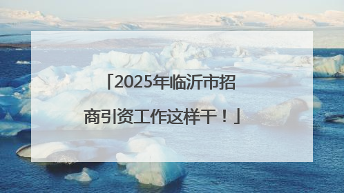 2025年临沂市招商引资工作这样干！