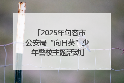 2025年句容市公安局“向日葵”少年警校主题活动