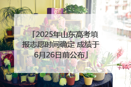 2025年山东高考填报志愿时间确定 成绩于6月26日前公布