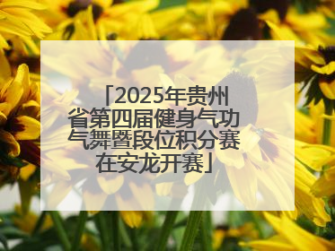 2025年贵州省第四届健身气功气舞暨段位积分赛在安龙开赛