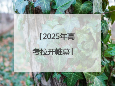 2025年高考拉开帷幕