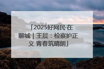 2025好网民·在聊城｜王晨：检察护正义 青春筑晴朗