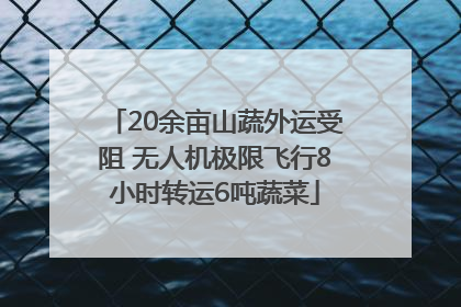 20余亩山蔬外运受阻 无人机极限飞行8小时转运6吨蔬菜