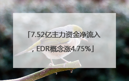 7.52亿主力资金净流入，EDR概念涨4.75%
