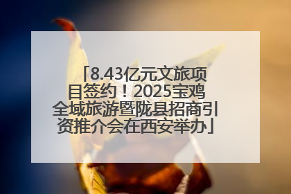 8.43亿元文旅项目签约！2025宝鸡全域旅游暨陇县招商引资推介会在西安举办