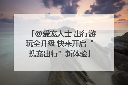 @爱宠人士 出行游玩全升级 快来开启“携宠出行”新体验