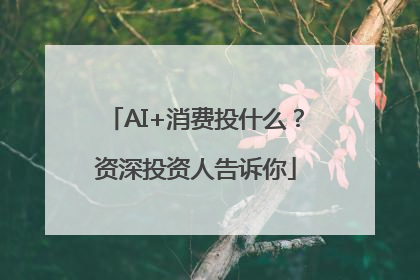 AI+消费投什么？资深投资人告诉你