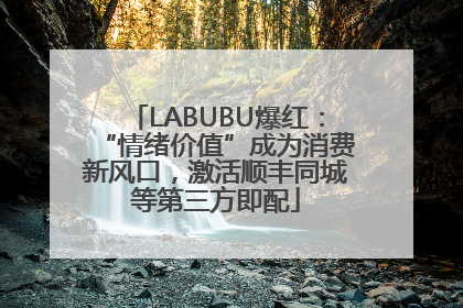 LABUBU爆红：“情绪价值”成为消费新风口，激活顺丰同城等第三方即配