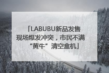 LABUBU新品发售现场爆发冲突，市民不满“黄牛”清空盒机