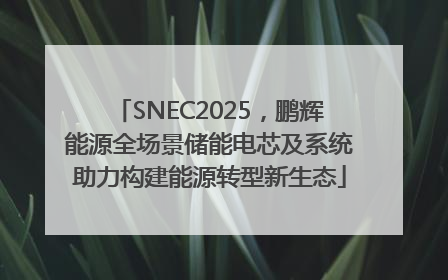 SNEC2025，鹏辉能源全场景储能电芯及系统助力构建能源转型新生态