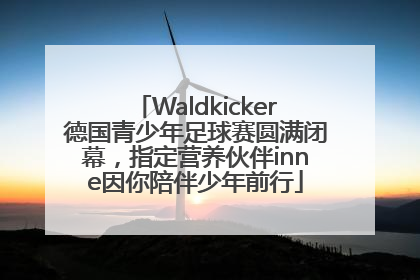 Waldkicker德国青少年足球赛圆满闭幕，指定营养伙伴inne因你陪伴少年前行
