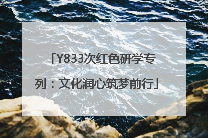 Y833次红色研学专列：文化润心筑梦前行